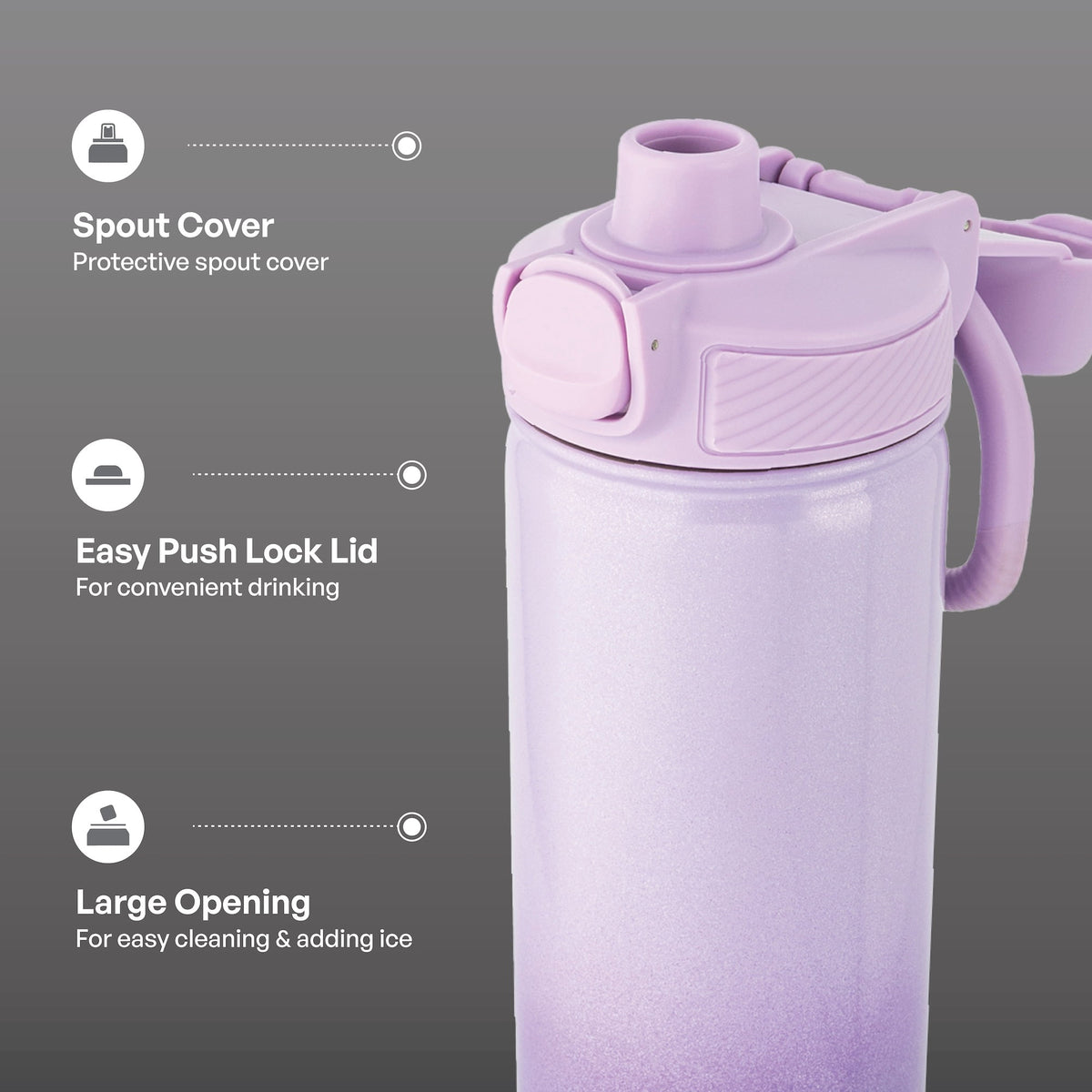 TAL 28oz Stainless Steel Ranger Push Lock Lid Water Bottle, Black