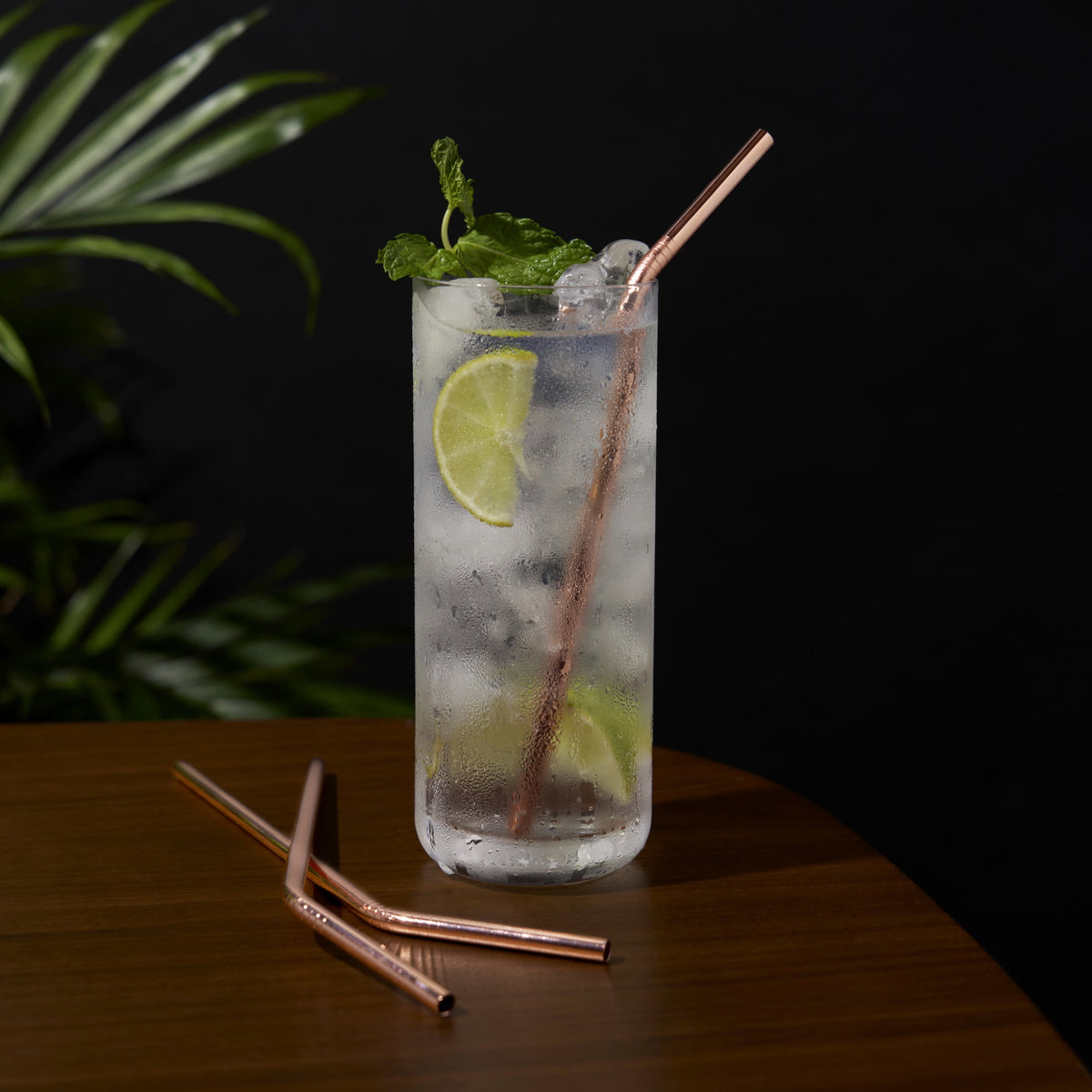 Viski Belmont Stainless Steel Cocktail Straws, Reusable Straws 5" Set of 6
