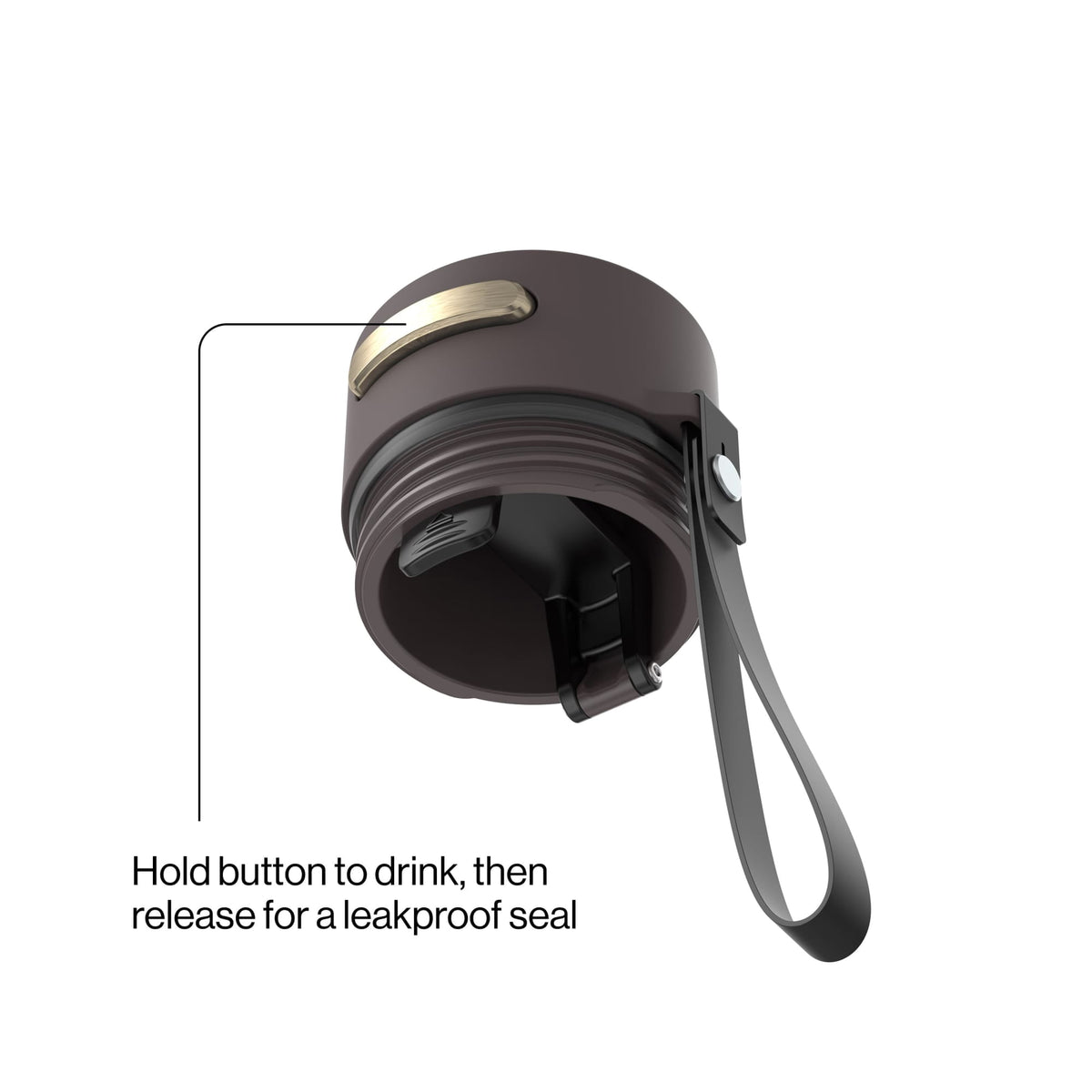 Contigo 24oz AutoSeal Insulated Stainless Steel Water Bottle, Licorice Black/Bronze